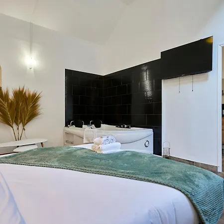 Ng Prestige - Balneo - Tv - Netflix - Wifi - Cour * Roubaix
